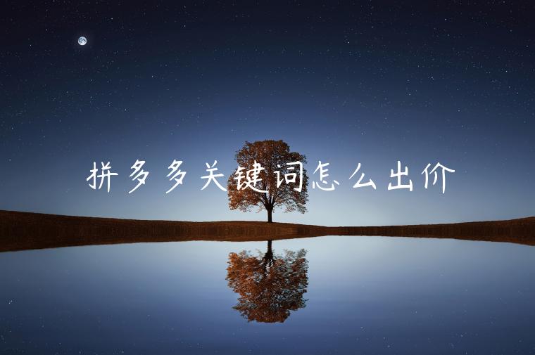 拼多多關(guān)鍵詞怎么出價